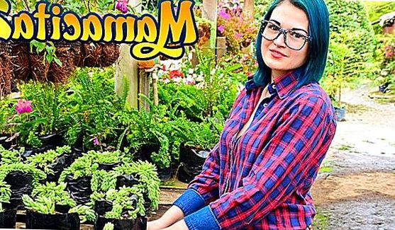 красотка показывает прелести мастурбирует веб камера, порно видео